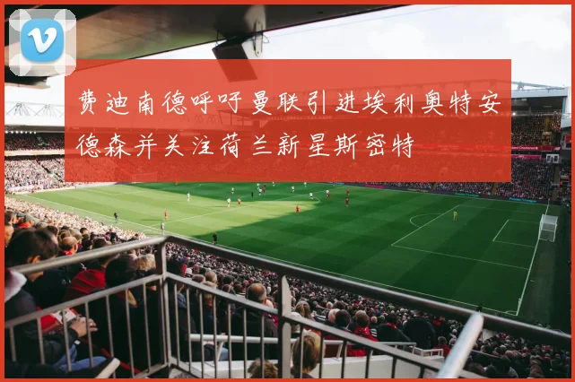费迪南德呼吁曼联引进埃利奥特安德森并关注荷兰新星斯密特