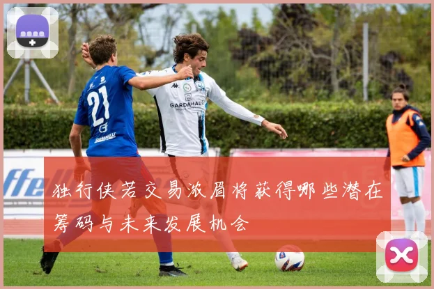 独行侠若交易浓眉将获得哪些潜在筹码与未来发展机会