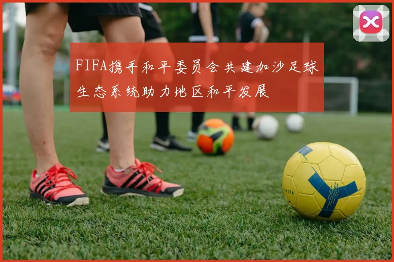 FIFA携手和平委员会共建加沙足球生态系统助力地区和平发展