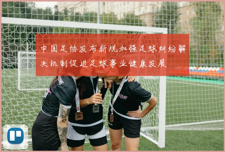 中国足协发布新规加强足球纠纷解决机制促进足球事业健康发展